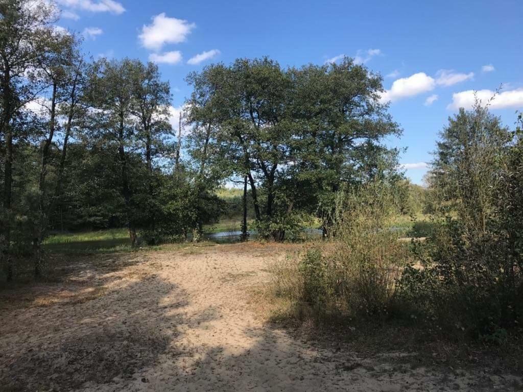 Zacisze Lesne Nad Pilica Bed and Breakfast Spała Eksteriør billede